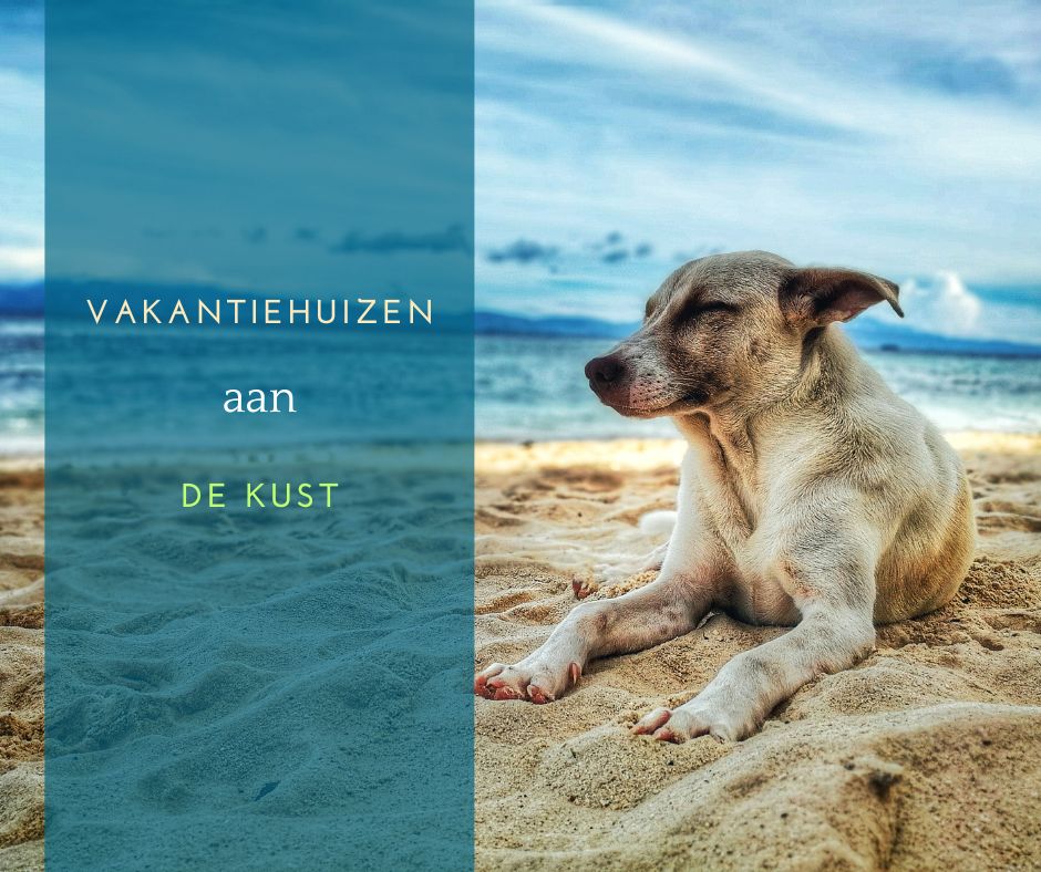 Vakantiehuizen aan zee honden toegestaan